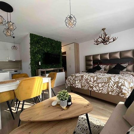 Cosy Appartement Green Life Banszko Kültér fotó