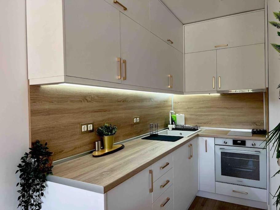Cosy Appartement Green Life Banszko Kültér fotó