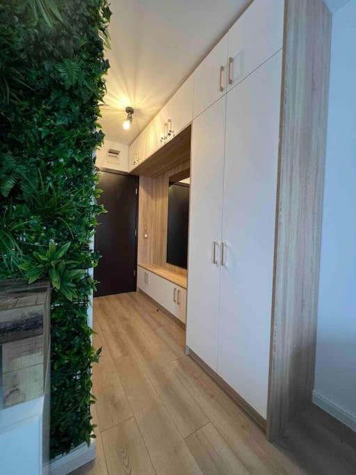 Cosy Appartement Green Life Banszko Kültér fotó