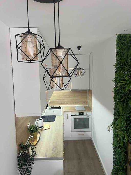 Cosy Appartement Green Life Banszko Kültér fotó