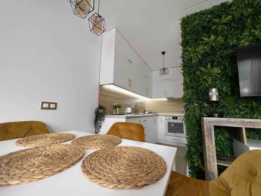 Cosy Appartement Green Life Banszko Kültér fotó